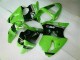 Inyección Kit Carenado Kawasaki ZX6R 2000-2002 - Verde Negro