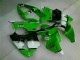 Inyección Kits Carenado Kawasaki ZX6R 2000-2002 - Verde Negro